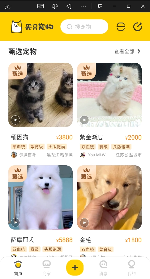 买只宠物安卓版2