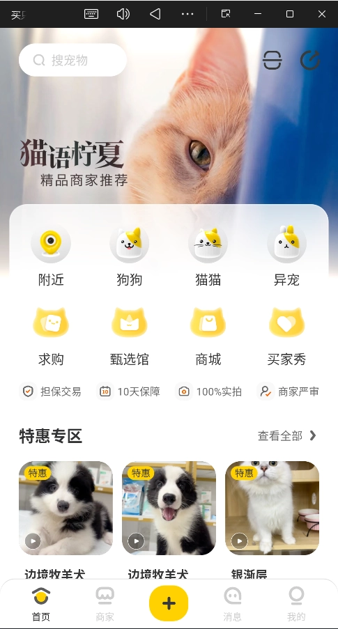 买只宠物安卓版4