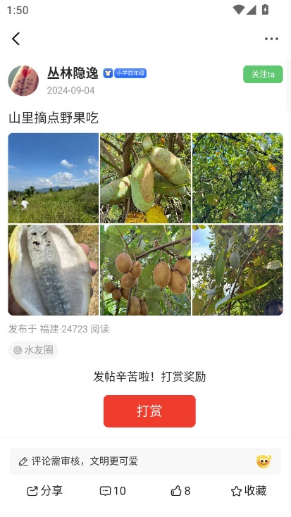 水头在线  最新版