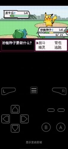 口袋妖怪最后的火红图1