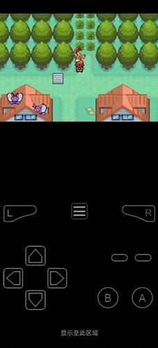 口袋妖怪最后的火红图2