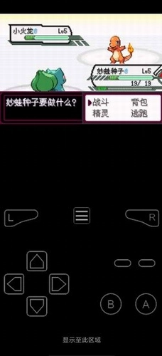 口袋妖怪最后的火红图3