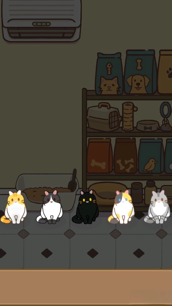 领养一只流浪猫3