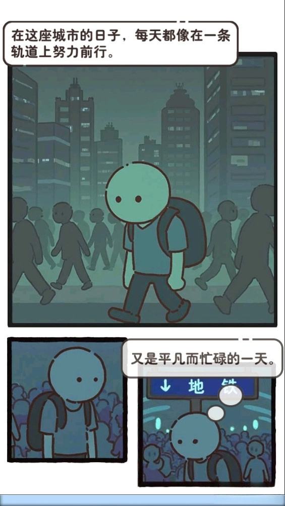 领养一只流浪猫2