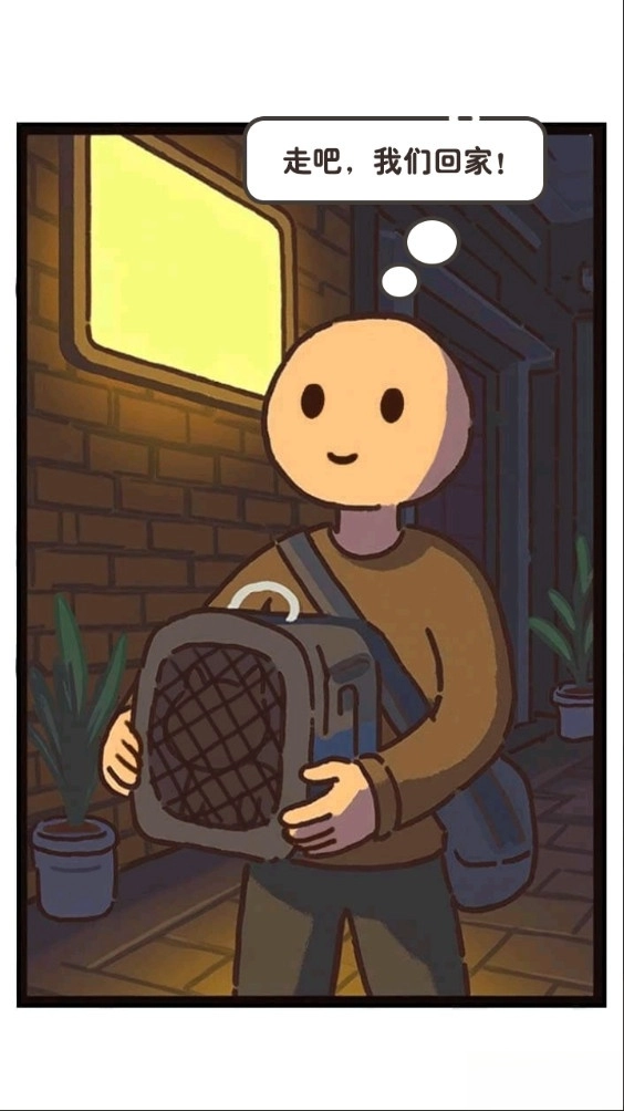 领养一只流浪猫4