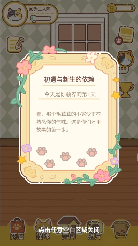 领养一只流浪猫6