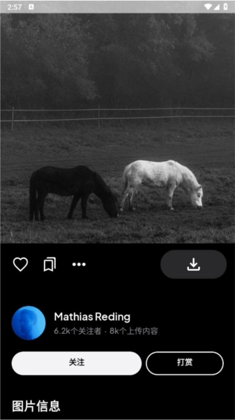 Pexels手机版截图3