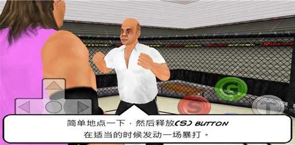 摔跤战士中文版4