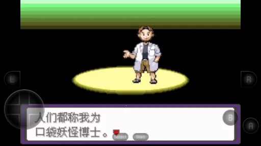 口袋妖怪：漆黑的魅影DP(口袋冒险游)  安卓版图3