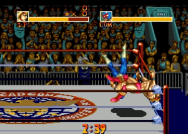 摔跤霸王2安卓版图2