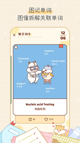 奶酪单词免费版2