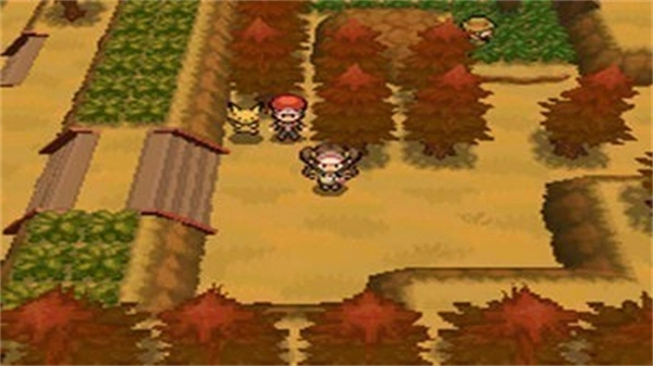 口袋妖怪超透黑2图2