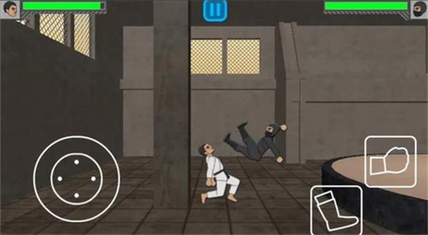 物理格斗战士图1