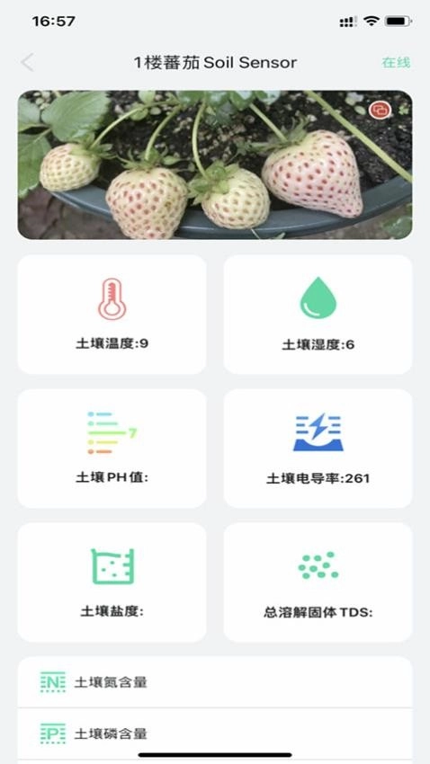 植物宝最新版图5