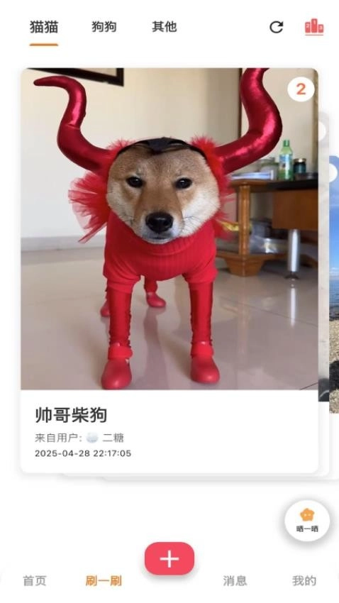 爪爪巴士最新版(3)