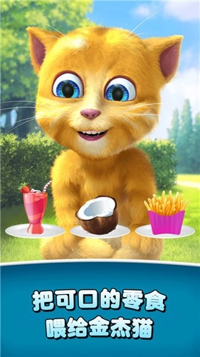 会说话的金杰猫2图3