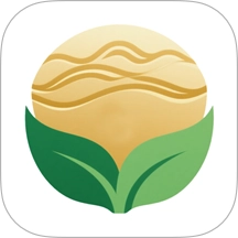 金玉满堂健康免费版