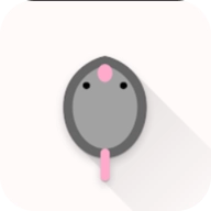 鼠鼠迷宫大冒险