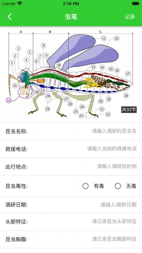 虫笔截图1