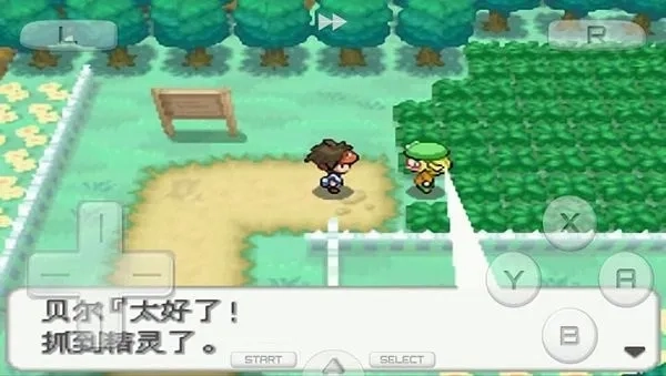 口袋妖怪火红金手指2026  安卓版图3