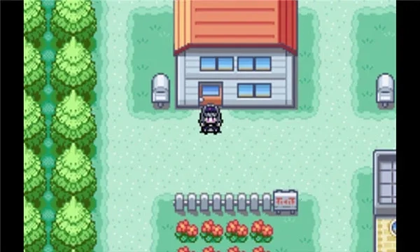 口袋妖怪火红金手指2026  安卓版图4