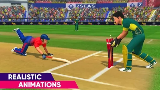 世界板球冠軍精簡版截圖0