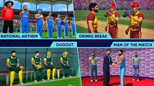 世界板球冠軍精簡版截圖2