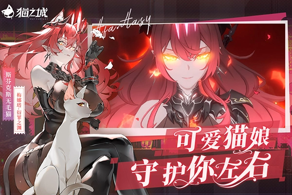 猫之城正版截图0