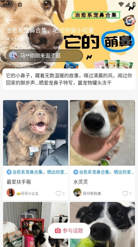 68宠物最新版图2