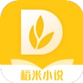 稻米小说