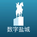 数字盐城