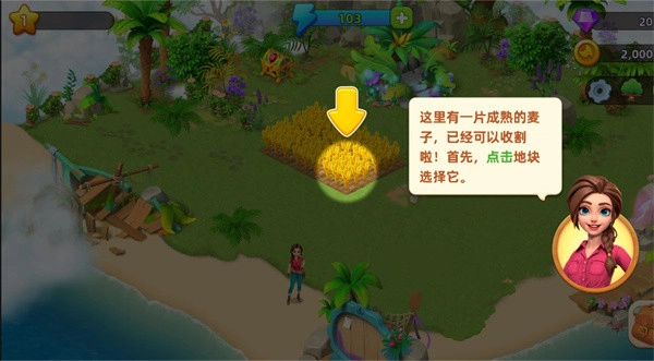 梦幻龙乐园安卓版图3