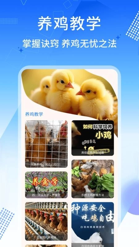 養(yǎng)雞寶-截圖2