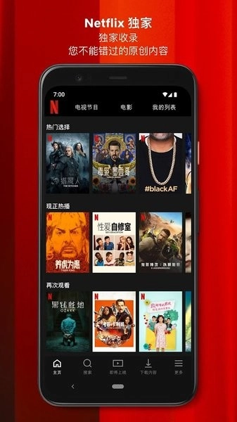 Netflix(3)