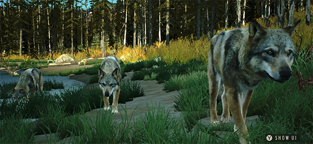 猎人之路狂野欧洲图4