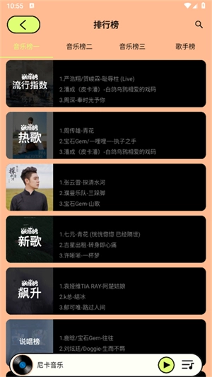 尼卡音乐2025图2