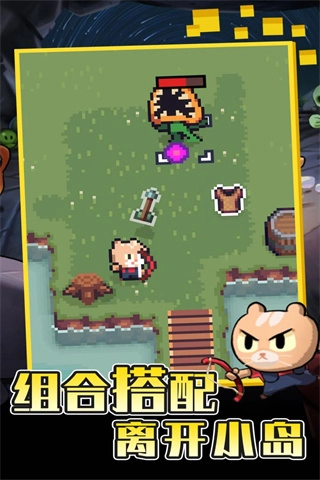 回家的貓游戲圖3