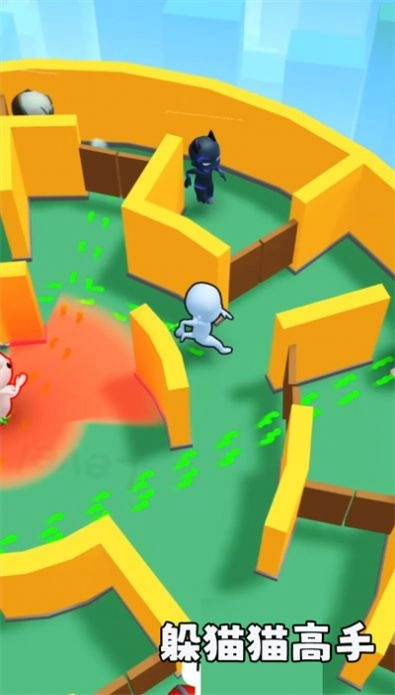 躲猫猫高手图2