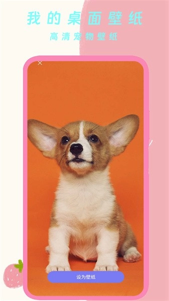 我的桌面壁纸图3