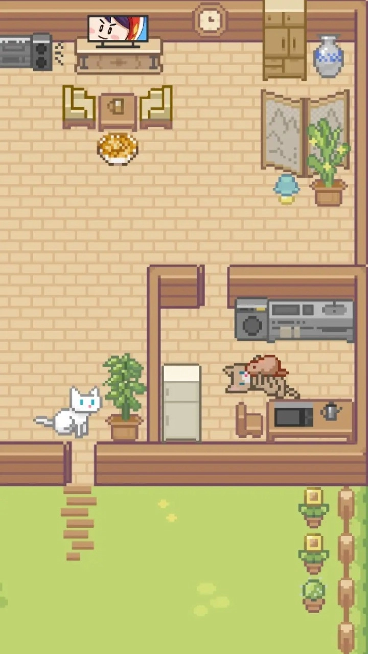 Miao屋手机版图3