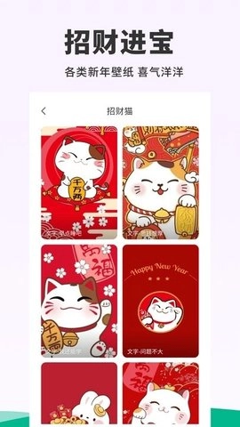 118主题壁纸手机版图3