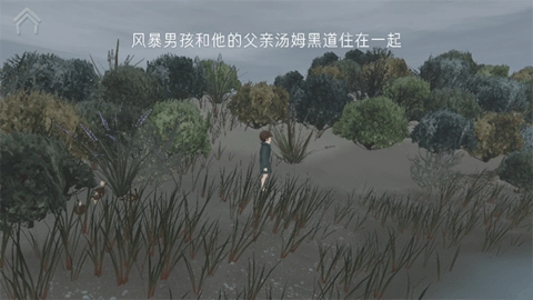 男孩与鹈鹕免费版(1)