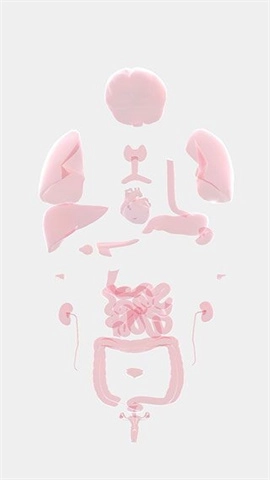 生命人体模拟器Life图3