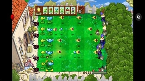 植物大战僵尸活死人之园1