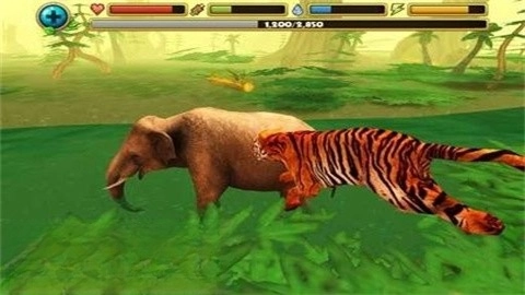 老虎模拟器中文版图2