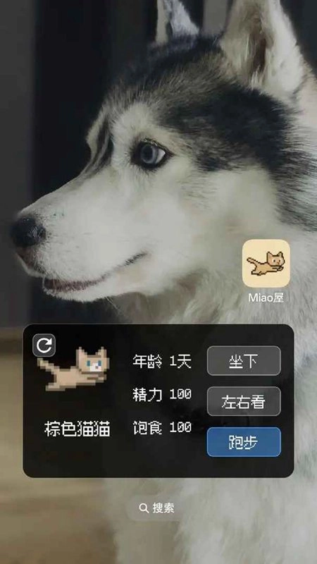 Miao屋游戏最新版图1