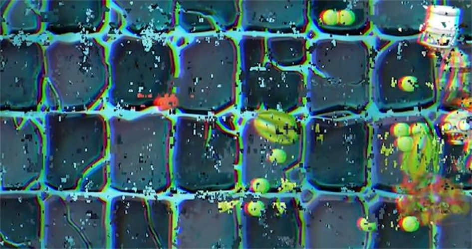 PVZ时空之旅截图1