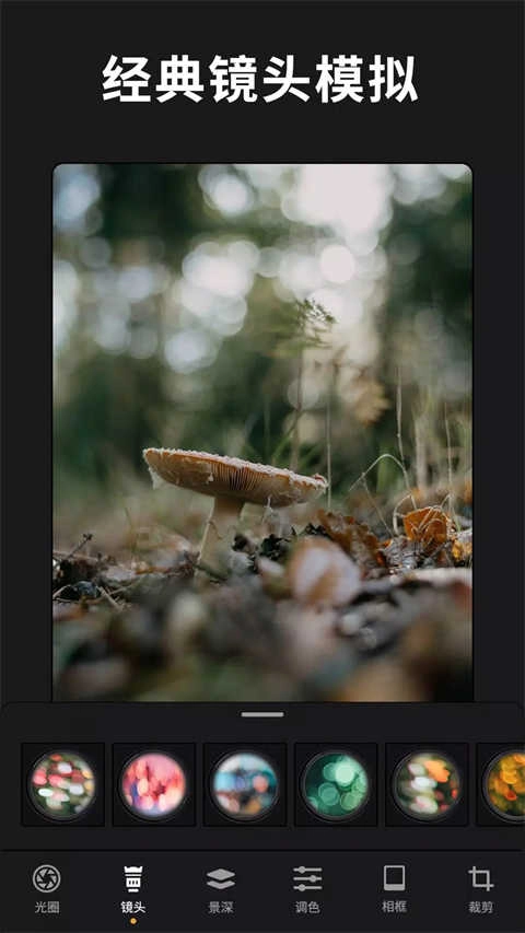 relens大光圈虚化相机 5