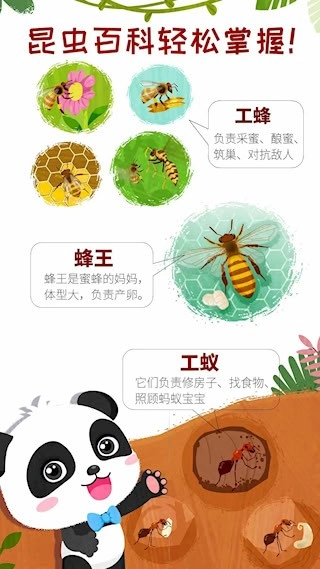 奇妙昆虫世界安卓版(3)
