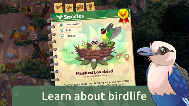 鸟类世界正版图4